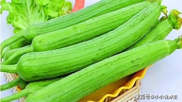 游戏专题 第13页